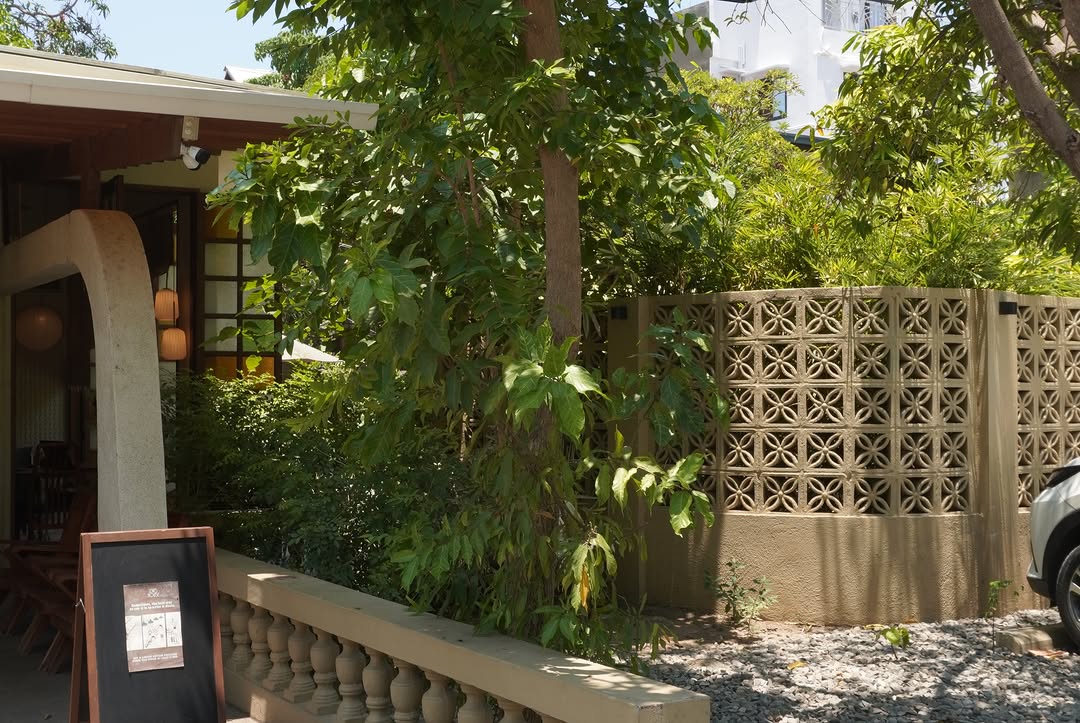The Lewis House exterior — side garden and heritage wall